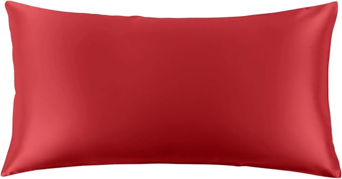 THXSILK 22 Momme Pure Mulberry Silk Pillowcase by THXSILK