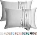 100% Silk Pillow Cases 2 Pack Standard Size Mulberry Silk Pillowcase by WLOSJ