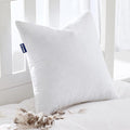 MIULEE Feather Pillow Insert 20x20, Decorative Down Throw Pillow Insert Fluffy by MIULEE