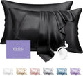 100% Silk Pillow Cases 2 Pack King Size Mulberry Silk Pillowcase Set of 2 by WLOSJ