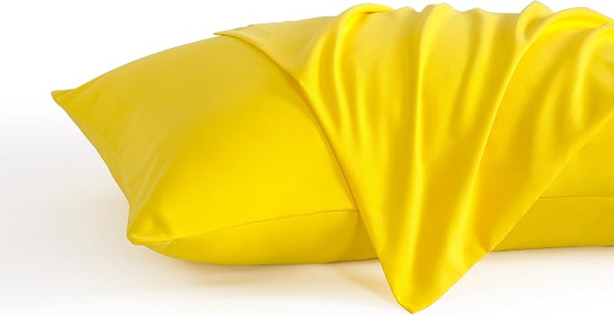 NTBAY Standard Pillow Cases Set of 2, 2 Pack Brushed Microfiber 20x26 Pillow by NTBAY