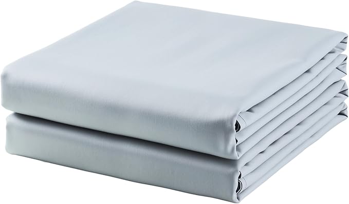 2-Pack Cotton Full Flat Sheet Only, 600 Thread Count 100% Egyptian Cotton Top by ZaizaiHome