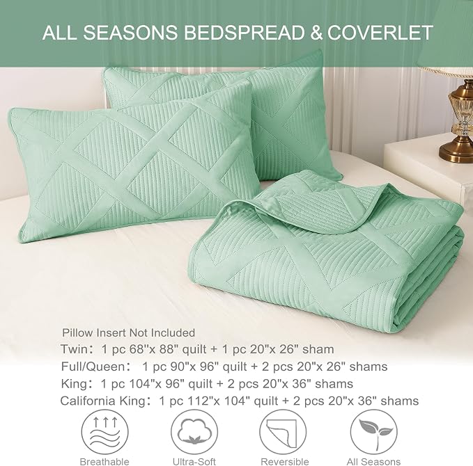 Exclusivo Mezcla King Quilt Set- Light Green Quilts Bedding Set - Image 6
