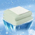 Cozy Bliss Cooling Comforter Twin Size, Cooling Blankets by CozyBliss