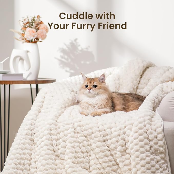 Drewin Weighted Blanket 20lbs, Ultra-Soft Warm Weighted Blanket Queen Size - Image 6