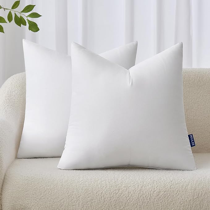 MIULEE 22x22 Inches Pillow Inserts Pack of 2, Decorative Throw Pillow Inserts by MIULEE