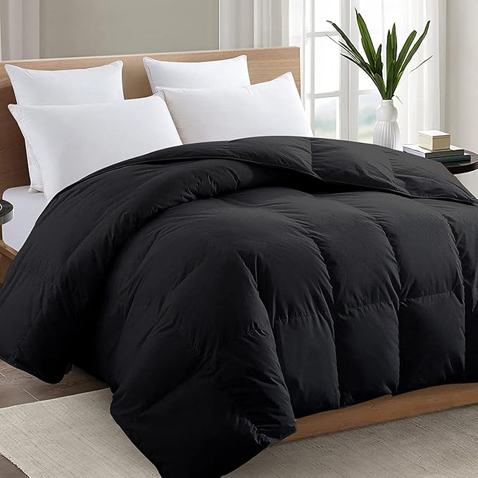 TEXARTIST Premium 2100 Series Queen Comforter All Season Breathable Black by TEXARTIST