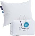 Lincove Cloud Natural Canadian Down and Waterfowl Feather Pillow, 500 Thread by Lincove