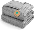Kivik Weighted Blanket 20 lbs for Adults, Minky Dot Heavy Blankets, Microfiber by Kivik
