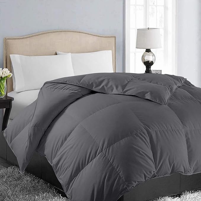 EASELAND Queen Size Down Alternative Comforter by EASELAND