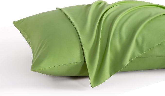NTBAY Standard Pillow Cases Set of 2, 2 Pack Brushed Microfiber 20x26 Pillow by NTBAY