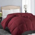 EASELAND Queen Size Down Alternative Comforter by EASELAND