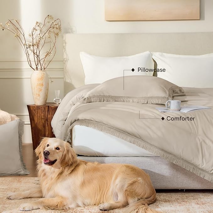 Andency Oatmeal Comforter Set Twin Size, 2 Pieces Boho Tassel Lightweight - Image 5