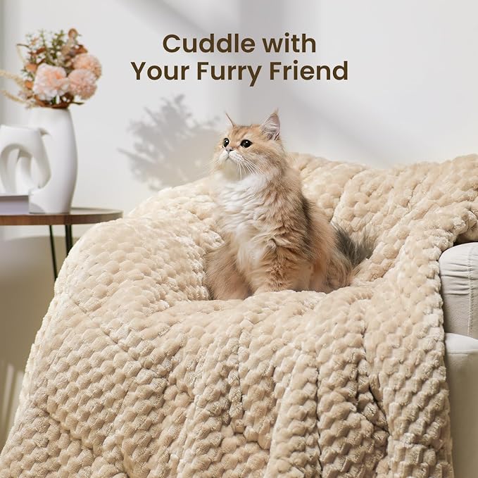 Drewin Weighted Blanket for Adults Queen Size 15lbs, Soft Fuzzy Turtleback - Image 6