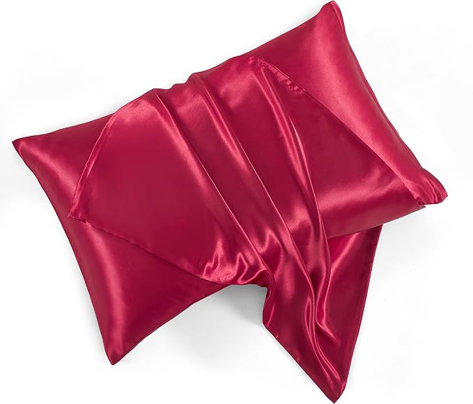 Satin Pillowcases with Zipper （20x26）, Standard Size Pillowcases Set of 2 by HommxJF