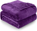 Cottonblue Weighted Blanket 15 lbs Queen Size, Flannel Shaggy Sherpa Weighted by Cottonblue