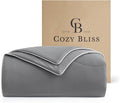 Cozy Bliss Cooling Comforter Queen Size, Reversible Lightweight Cooling Blankets by CozyBliss