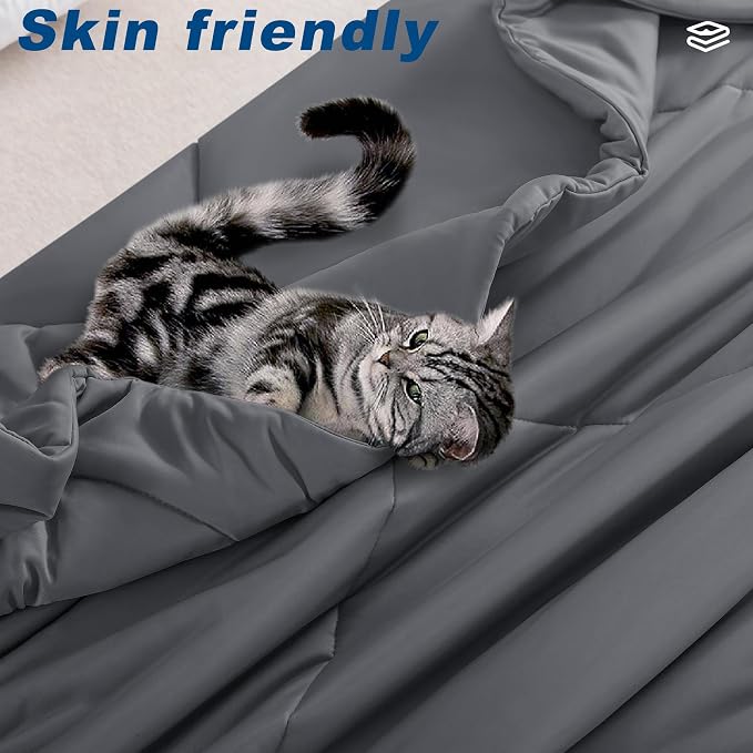 Cooling Comforter Queen Size, Double-Sided Cold Tech Fabric Quilted Bed - Image 6