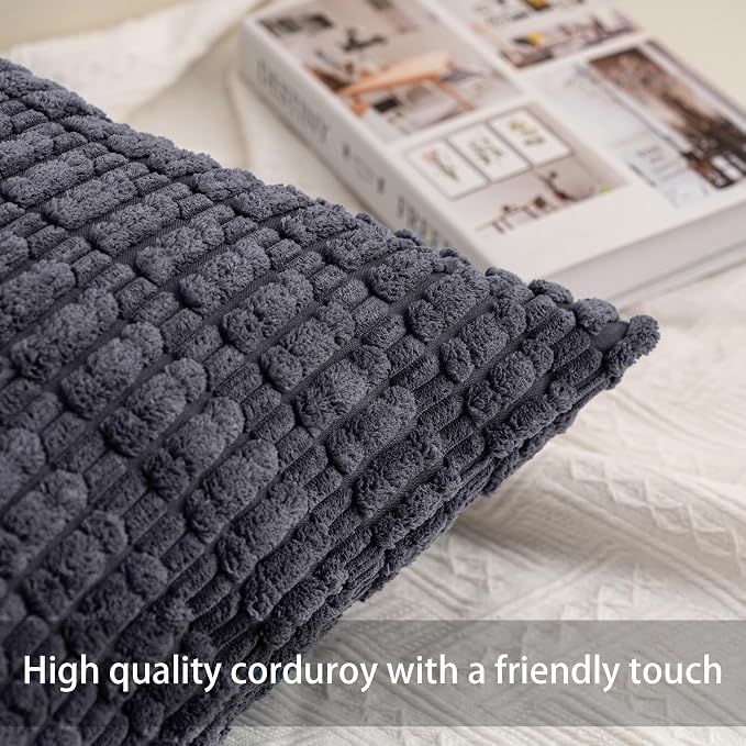 Aegero Pack of 2 Corduroy Decorative Throw Pillow Covers 20x20 InchSoft Striped - Image 2