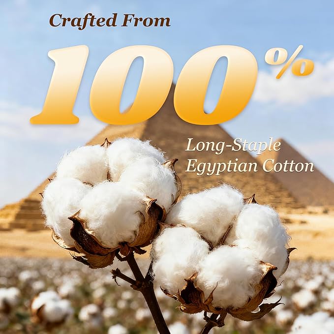 LBRO2M 100% Cotton Sheets Set Deep Pocket 24", 1000 Thread Count Queen Size 4 - Image 3