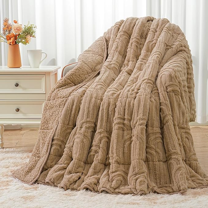 Wemore Jacquard Fleece Weighted Blanket Queen Size 60" x 80" 20lbs, Ultra Soft by WemoreDirect