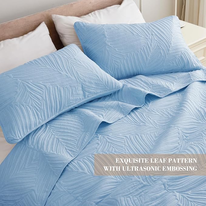 Exclusivo Mezcla Queen Quilt Bedding Set, Lightweight Sky Blue Quilts Queen - Image 3