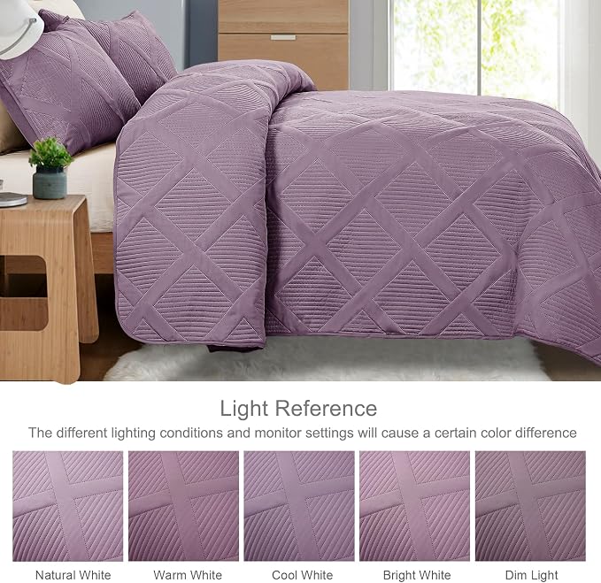 Exclusivo Mezcla Full Queen Size Quilt Set - Image 5