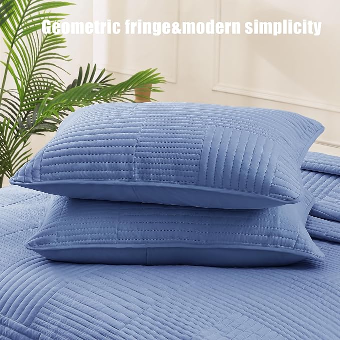 Whale Flotilla Ultra Soft Queen Quilt Bedding Set, Lightweight Microfiber - Image 4
