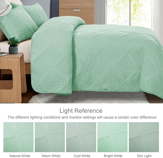 Exclusivo Mezcla King Quilt Set- Light Green Quilts Bedding Set - Image 3