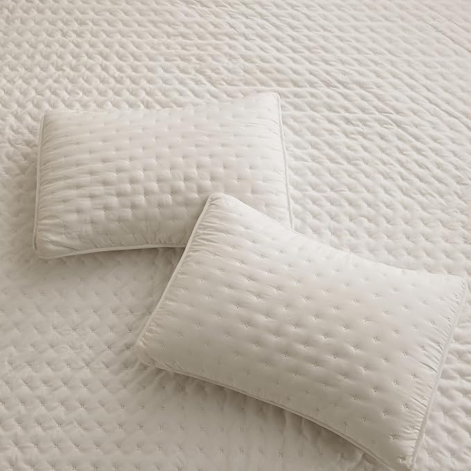 ROARINGWILD Beige Twin Size Quilt Bedding Set - Image 6