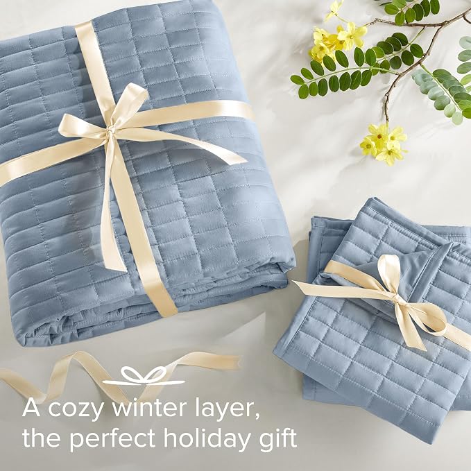Comfort Spaces Kienna Quilt Set- Double Sided Stitching Design Summer Blanket - Image 7