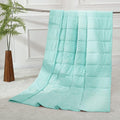 Alomidds Weighted Blanket, Luxury Velvet Heavy Blankets by Alomidds