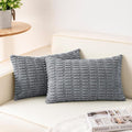 Aegero Pack of 2 Corduroy Decorative Throw Pillow Covers 12x20 InchSoft Boho by Unknown