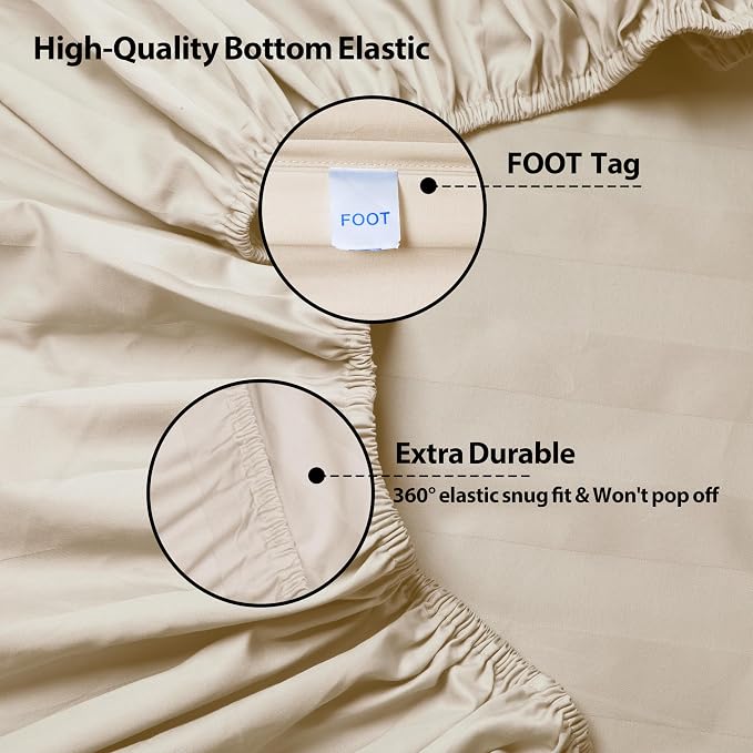 Twin XL Size Striped Fitted Sheet Only Beige Color, 100% Egyptian Cotton 600 - Image 4