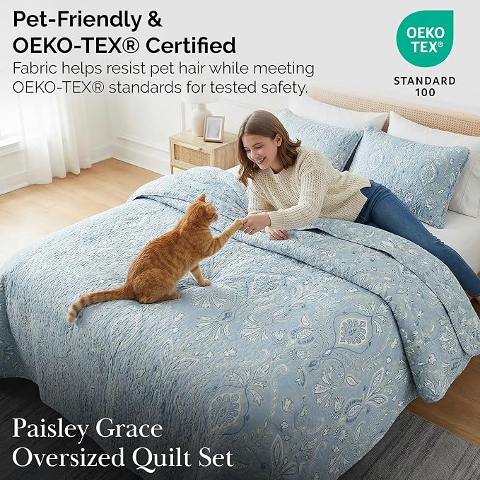 Southshore Fine Living, Inc. Farmhouse Quilts Queen Size, Quilt Bedding Set - Image 5